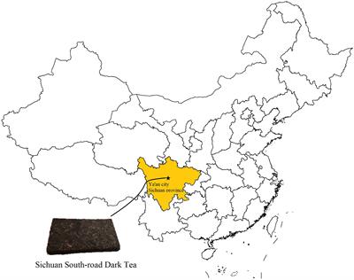 The glycoside hydrolase gene family profile and microbial function of Debaryomyces hansenii Y4 during South-road dark tea fermentation